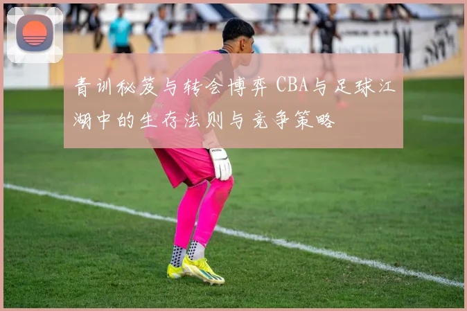 青训秘笈与转会博弈 CBA与足球江湖中的生存法则与竞争策略