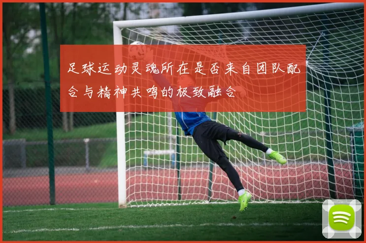 足球运动灵魂所在是否来自团队配合与精神共鸣的极致融合