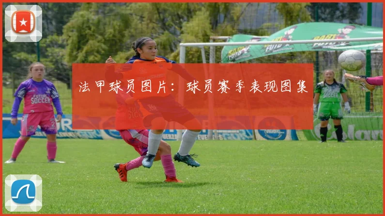 法甲球员图片：球员赛季表现图集