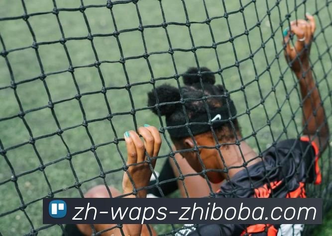 数据防护可视化